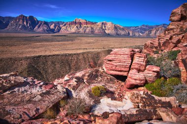 Canlı Calico kaya oluşumları Las Vegas Nevada yakınlarındaki Red Rock Kanyonu 'nun geniş çöl ve uzak tepelerinde göze çarpıyor. Parlak gün ışığı ve çarpıcı renkler Amerikalının özünü yansıtıyor.
