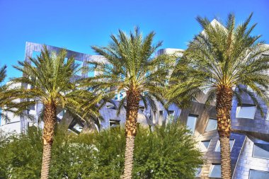 Çağdaş mimari Las Vegas Nevada 'daki gür palmiye ağaçlarının arkasında yükselir ve üzerinde parlak mavi bir gökyüzü vardır. Sahne, yenilikçi tasarımla doğal güzelliği harmanlıyor.