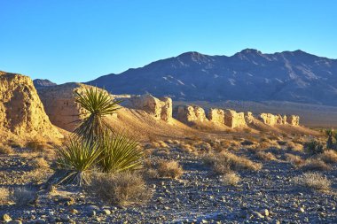 Bir Joshua ağacı Las Vegas Nevada yakınlarındaki Tule Springs Fossil Bed 'de çöl çalılarının arasında duruyor. Altın saat güneşi engebeli uçurumları ve uzak sıradağları aydınlatıyor. Sıcak, sakin bir ortam için..
