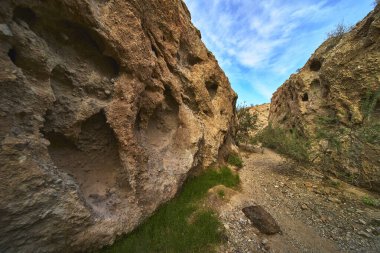 Dramatik kaya dokuları olan engebeli kanyon duvarları canlı bir gökyüzünün altında dar bir çöl yolu oluşturuyor. Nadir bitki örtüsü ve doğal erozyon Arizona 'daki Ürkütücü Kanyon' un eşsiz manzarasını vurgular.