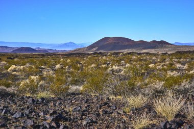 Volkanik kül konileri Kelso California yakınlarındaki Mojave 'de kayalık arazi ve çöl bitkilerinin üzerinde yükselir. Sahne, Amerika Birleşik Devletleri 'nin eşsiz jeolojisini ve geniş vahşi doğasını yakalıyor..