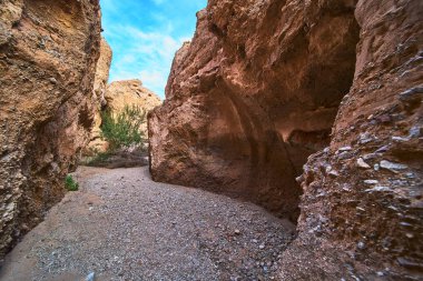 Güneş ışığı Arizona 'daki Ürkütücü Kanyon' un engebeli kumtaşı duvarlarını ve çakıl döşemesini aydınlatır. Seyrek çöl bitkileri, canlı bir gökyüzünün altındaki dramatik slot kanyonu manzarasına zıtlık katar..