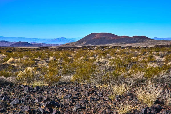 Volkanik kül konileri Kelso California yakınlarındaki Mojave 'de kayalık arazi ve çöl bitkilerinin üzerinde yükselir. Sahne, Amerika Birleşik Devletleri 'nin eşsiz jeolojisini ve geniş vahşi doğasını yakalıyor..