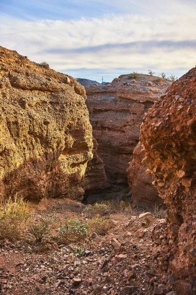 Sıcak güneş ışığı Arizona 'daki Ürkütücü Kanyon yuvasının dokulu duvarlarını aydınlatıyor. Nadir bulunan çöl bitkileri ve kayalık arazi bu çarpıcı doğal manzaranın maceraperest havasına katkı sağlar..