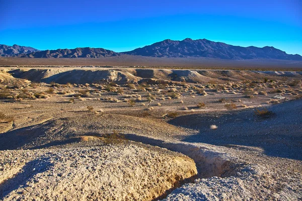 Sıcak altın saat güneş ışığı, Las Vegas Nevada yakınlarındaki Tule Springs Fosil Yatağı 'nın engebeli arazisini vurguluyor. Nadir çöl bitkileri ve uzak dağlar çarpıcı Birleşik Devletler manzarasını tamamlıyor..