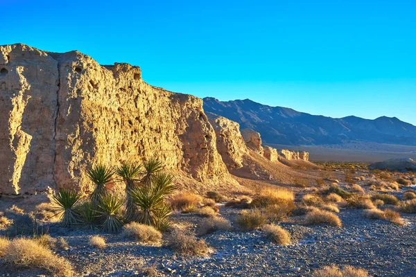 Altın saat ışığı, Las Vegas Nevada yakınlarındaki Tule Springs Fosil Yatağı 'ndaki kumtaşı oluşumlarını ve Joshua ağaçlarını aydınlatır. Engebeli manzara ve uzak dağlar sakin bir çöl manzarası yaratır..