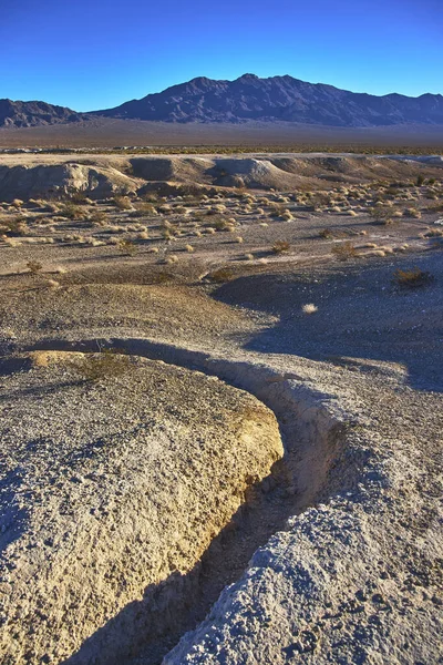 Altın saat ışığı, yıpranmış çorak topraklar ve çöl bitkileri arasında dramatik gölgeler bırakıyor. Amerika Birleşik Devletleri 'nde Las Vegas Nevada yakınlarındaki Tule Springs Fosil Yatağı' nda uzak dağlar var..