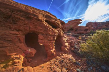 Canlı kırmızı kumtaşı mağaraları ve engebeli çöl arazisi Las Vegas Nevada yakınlarındaki Ateş Kasesi 'nde parlak mavi bir gökyüzünün altında duruyor. Güneşli kaya dokuları ve seyrek bitki örtüsü vahşi güzelliği çağrıştırır.