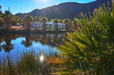 Parlak güneş ışığı, Zzyzx California 'da palmiye ağaçları ve yerel bitkilerle çevrili sakin bir göleti aydınlatır. Suya ve çöl dağlarına yansıyan yansımalar huzurlu bir Mojave vahası atmosferi yaratır..