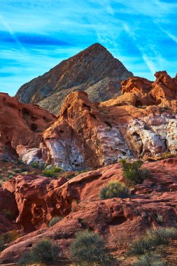 Las Vegas Nevada yakınlarındaki Ateş Kasesi 'nde çarpıcı bir dağ zirvesinin altında canlı kırmızı kaya oluşumları yükseliyor. Nadir bulunan çöl bitkileri ve parlak mavi gökyüzü klasik bir Birleşik Devletler Güneybatı manzarası yaratır..