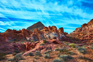 Çarpıcı kızıl kaya oluşumları ve engebeli çöl bitkileri Las Vegas Nevada yakınlarındaki Ateş Kasesi 'nde mavi bir gökyüzünün altındaki manzarayı dolduruyor. Manzara macera ve doğayı çağrıştırıyor.
