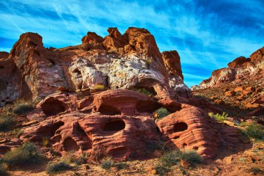 Las Vegas Nevada yakınlarındaki Ateş Kasesi 'ndeki parlak mavi gökyüzünün altında çöl tabanından dramatik erozyon desenli canlı kırmızı kumtaşı oluşumları yükseliyor. Nadir bitki örtüsü ve çarpıcı jeoloji