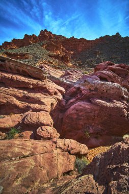 Las Vegas Nevada yakınlarındaki Ateş Kasesi 'nde parlak bir mavi gökyüzünün altında koyu kırmızı kumtaşı kayalar ve engebeli uçurumlar yükseliyor. Bu Birleşik Devletler manzarası dramatik jeolojiyi ve canlı çölü vurguluyor.