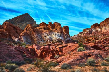 Las Vegas Nevada yakınlarındaki Ateş Kasesi 'nde parlak mavi gökyüzü altında seyrek çöl bitkisinin üzerinde canlı kırmızı kumtaşı oluşumları yükseliyor. Bu dramatik Nevada manzarası,