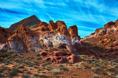 Canlı kırmızı ve beyaz kumtaşı oluşumları seyrek çöl bitkisinin üzerine yükseliyor Las Vegas Nevada yakınlarındaki Ateş Kasesi 'nde koyu mavi bir gökyüzü altında. Doğal dokular ve dramatik ışık
