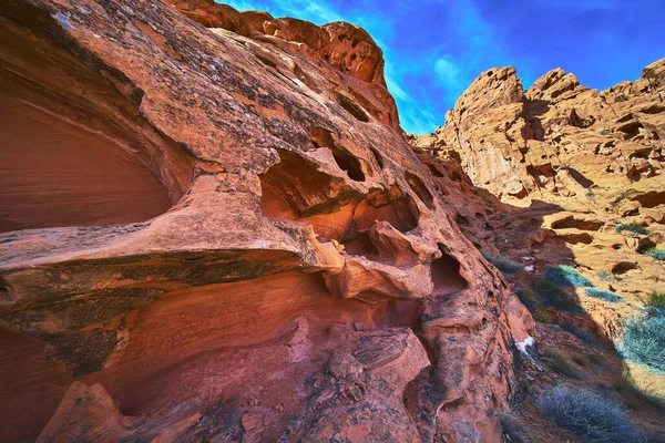 Rüzgarla oyulmuş kırmızı kumtaşı kayalıkları Nevada 'daki Ateş Kasesi' ne dramatik dokular ve sert çıkıntılarla hükmediyor. Çöl bitkileri ve parlak mavi gökyüzü bu çarpıcı Las Vegas 'ı tamamladı.
