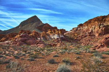 Canlı kırmızı kaya oluşumları ve engebeli çöl bitkileri Las Vegas Nevada yakınlarındaki Ateş Kasesi 'ni dolduruyor. Amerika 'daki parlak mavi gökyüzünün altında arka planda çarpıcı bir dağ zirvesi yükseliyor..