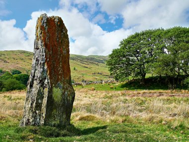Coed-y-Bedo 'daki Standing Stone. Bala Galler yakınlarındaki Cwm Main 'in başında yer alan taş yaklaşık 1.80 boyunda ve bölgenin en büyüklerinden biridir. Eski bir patikanın çok yakınında bir sınır taşı ya da yol işareti olabilir.. 