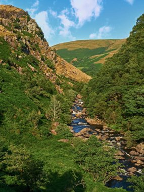 Yukarı Nehir Towy Vadisi. Llyn Brianne 'in hemen aşağısından alınan eski yoldan Dinas RSPB rezervi sağ tarafta nehir kıyısında yer alıyor. Galler 'in en güzel yerlerinden biri.      