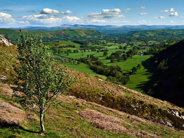 Panoramic View River Towi Valley Mynydd Mallaen Blue Sky Green — Stock Photo, Image