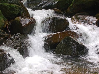 Cascata de Aguas em Trilha Natural. Paranoyak