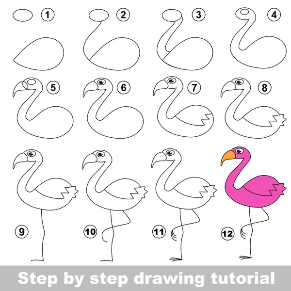 Flamingo. Kreslení tutoriál. — Stockový vektor