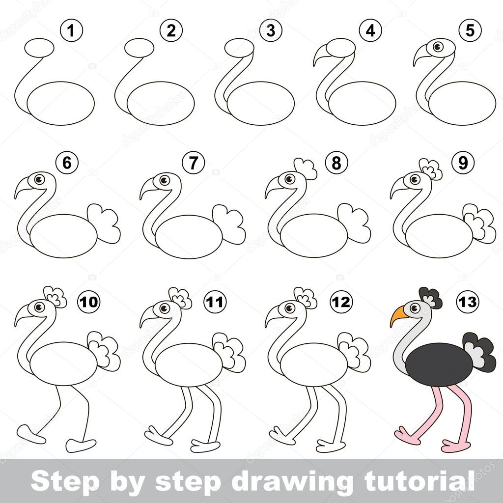 Tutorial Imagenes Vectoriales | avestruz tutorial de dibujo archivo im 225 genes Tutorial Imagenes Vectoriales | avestruz tutorial de dibujo archivo im 225 genes