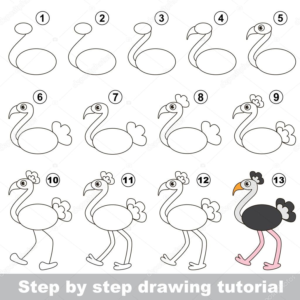 Ostrich. Drawing tutorial.