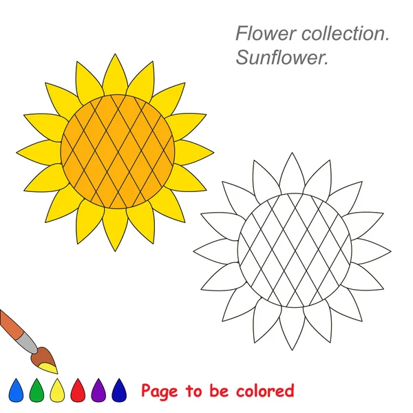 Sonnenblume im Vektor-Cartoon wird gefärbt. — Stockvektor