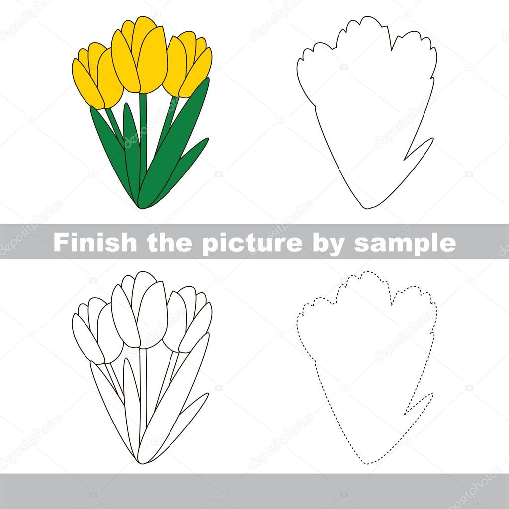 Tulipan Rysunku Arkusza Grafika Wektorowa