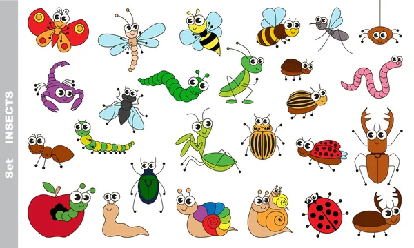 Set de insectos colorido . — Archivo Imágenes Vectoriales