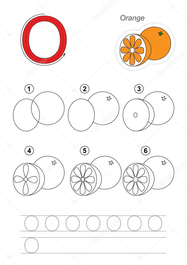 Drawing tutorial. Orange. stock vector. Illustration of fruit - 89884021