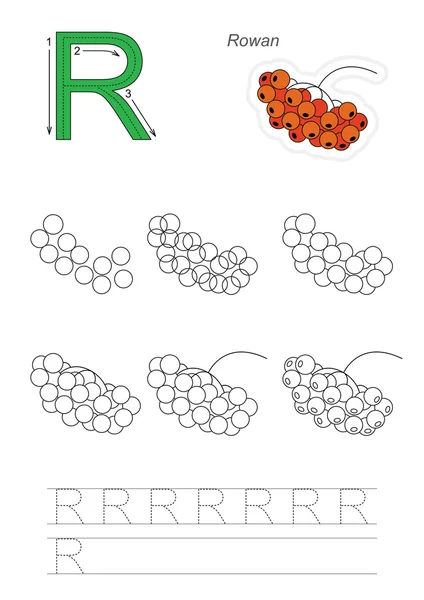 Drawing tutorial. Game for letter R. Red Rowan. — Stock Vector