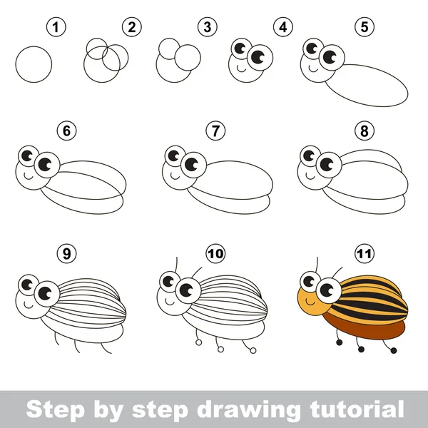 Tutorial di disegno. Insetto di patate . — Vettoriale Stock