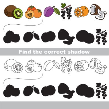 Olgun meyve seti. Doğru gölgeyi bulma.