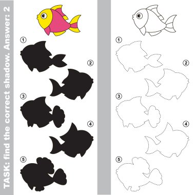 Pembe balık. Doğru doğru gölgeyi bulma.