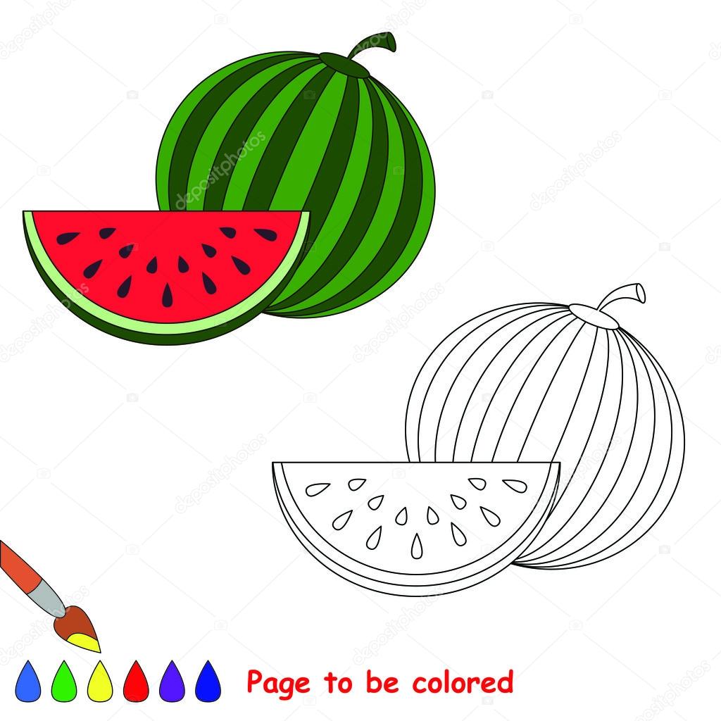 Vector watermelon to be colored.