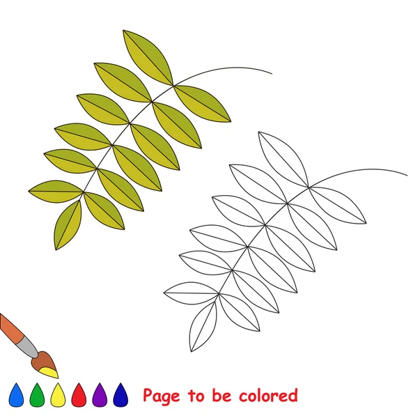 Green ash leaf vector cartoon to be colored. — Stock Vector