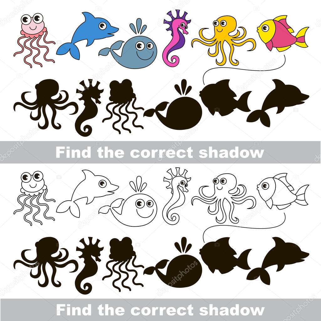 Sea animal collection. Find correct shadow.