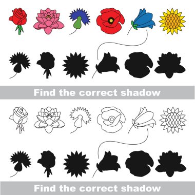 Çiçek kümesi. Doğru gölge bul.