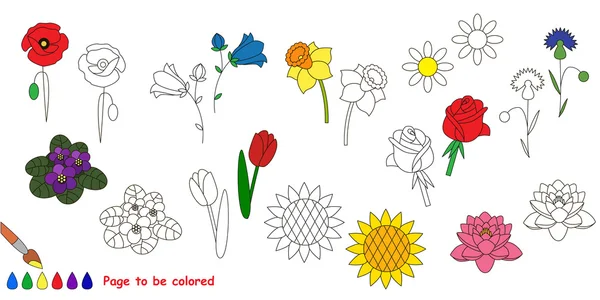 Květinová sada barevné. — Stockový vektor