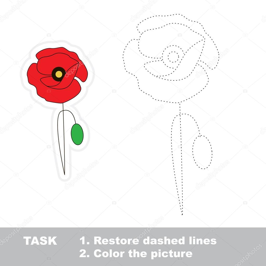 Poppy to be traced. Vector trace game.