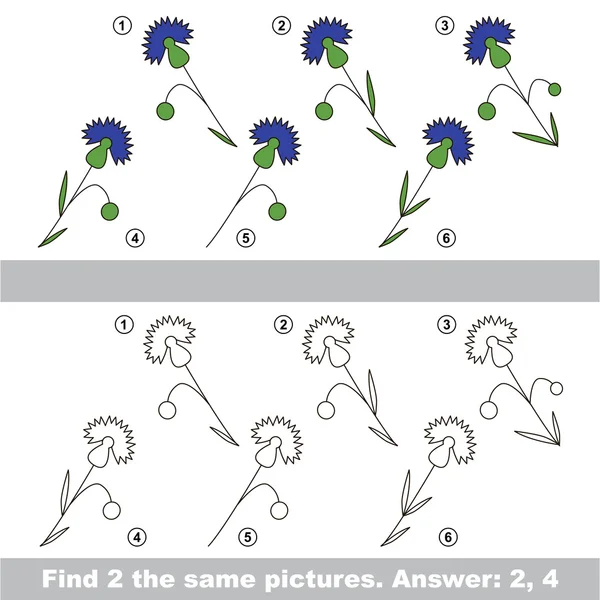 Visuele spel. Verborgen paar korenbloemen vinden — Stockvector