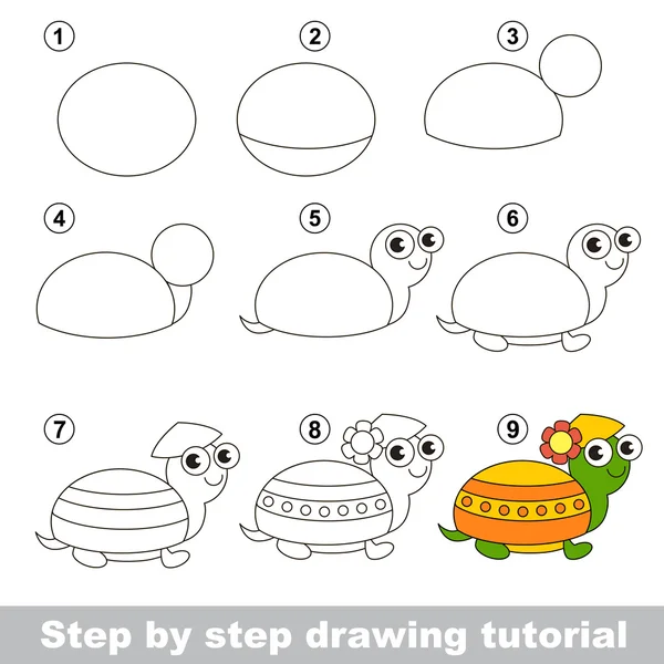 Tutorial de desenho. Como desenhar uma tartaruga —  Vetores de Stock