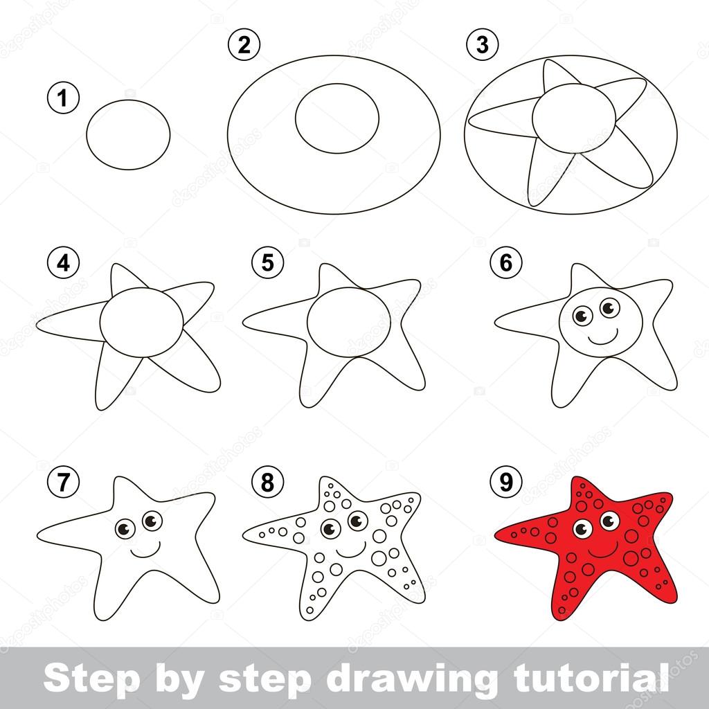 Drawing tutorial. How to draw a Starfish