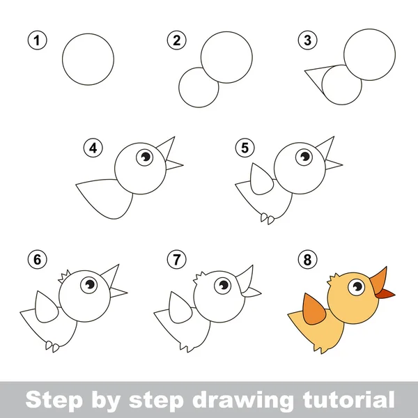 図面チュートリアル。鳥の描き方 — ストックベクタ