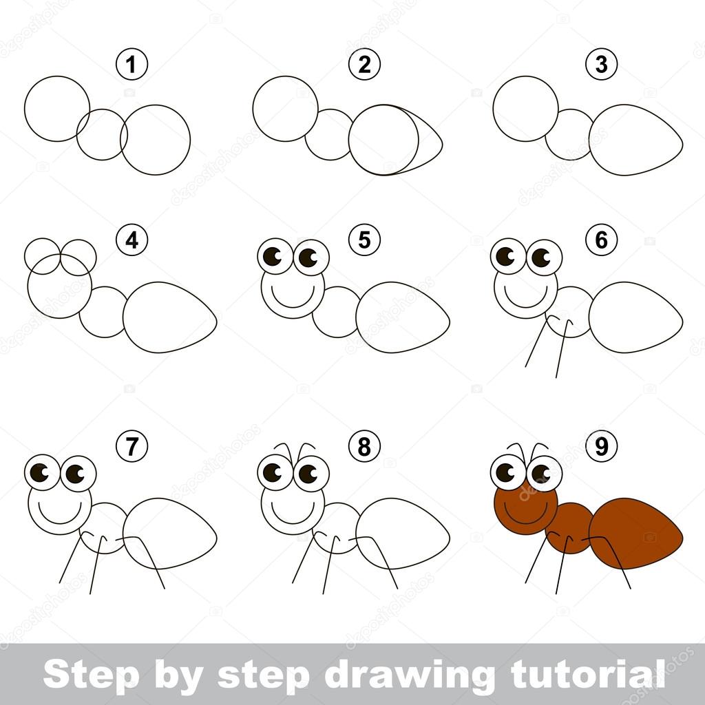 How to draw an Ant