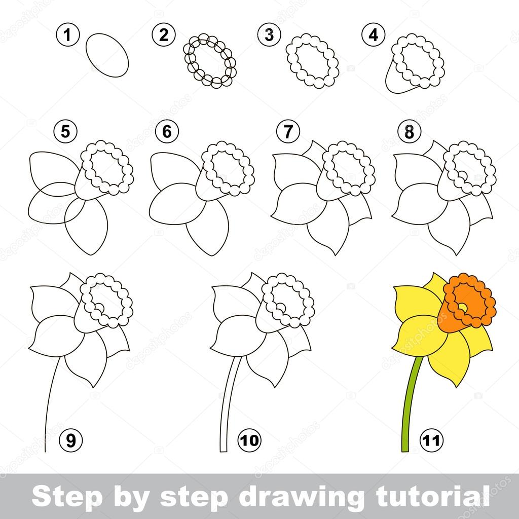 Daffodil. Drawing tutorial.