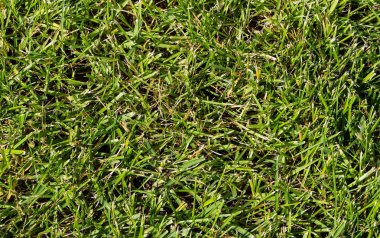 Eski kaldırım taşı. 