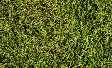 Eski kaldırım taşı. 